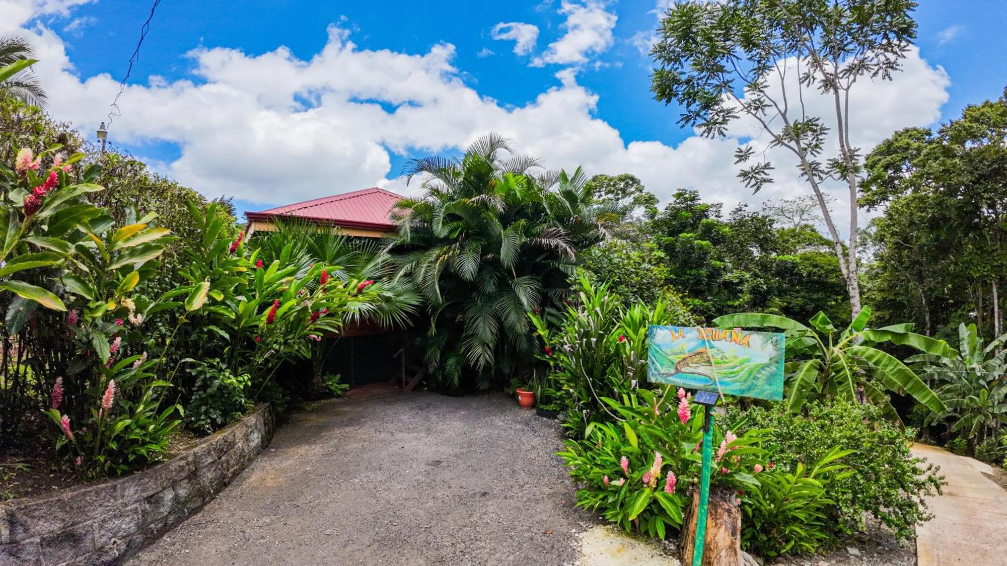 Bungalows Las Iguanas Arenal Volcano La Fortuna Extérieur photo