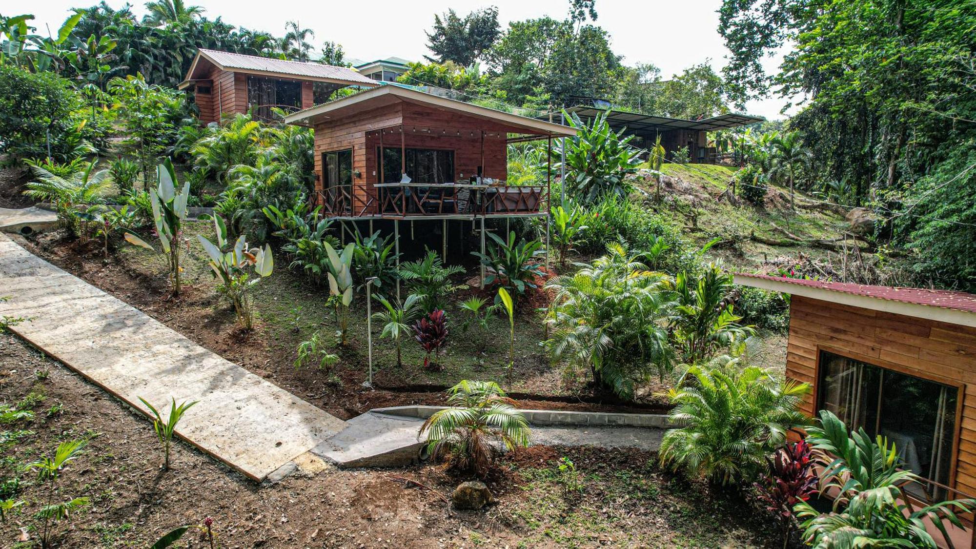 Bungalows Las Iguanas Arenal Volcano La Fortuna Extérieur photo