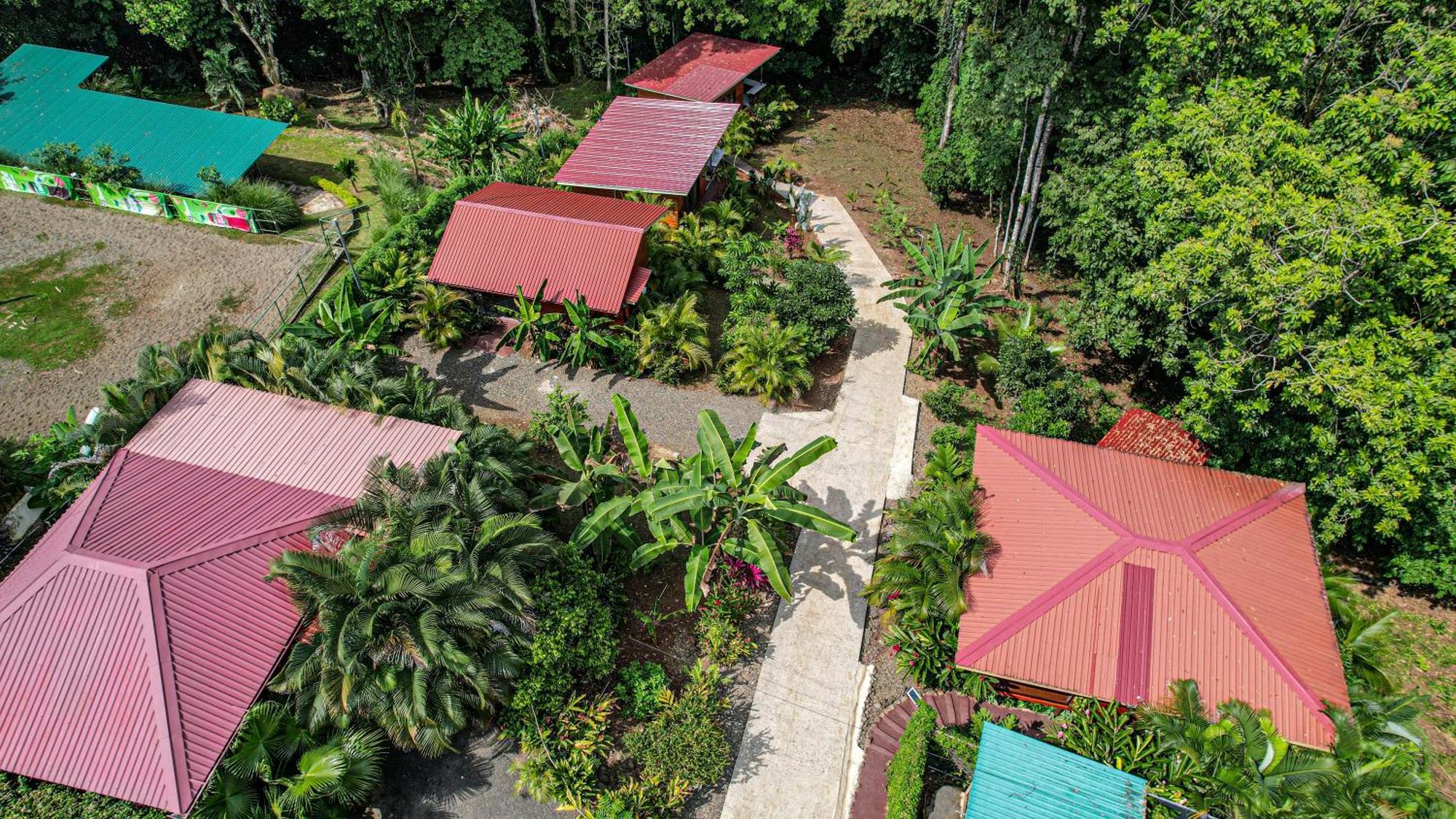 Bungalows Las Iguanas Arenal Volcano La Fortuna Extérieur photo