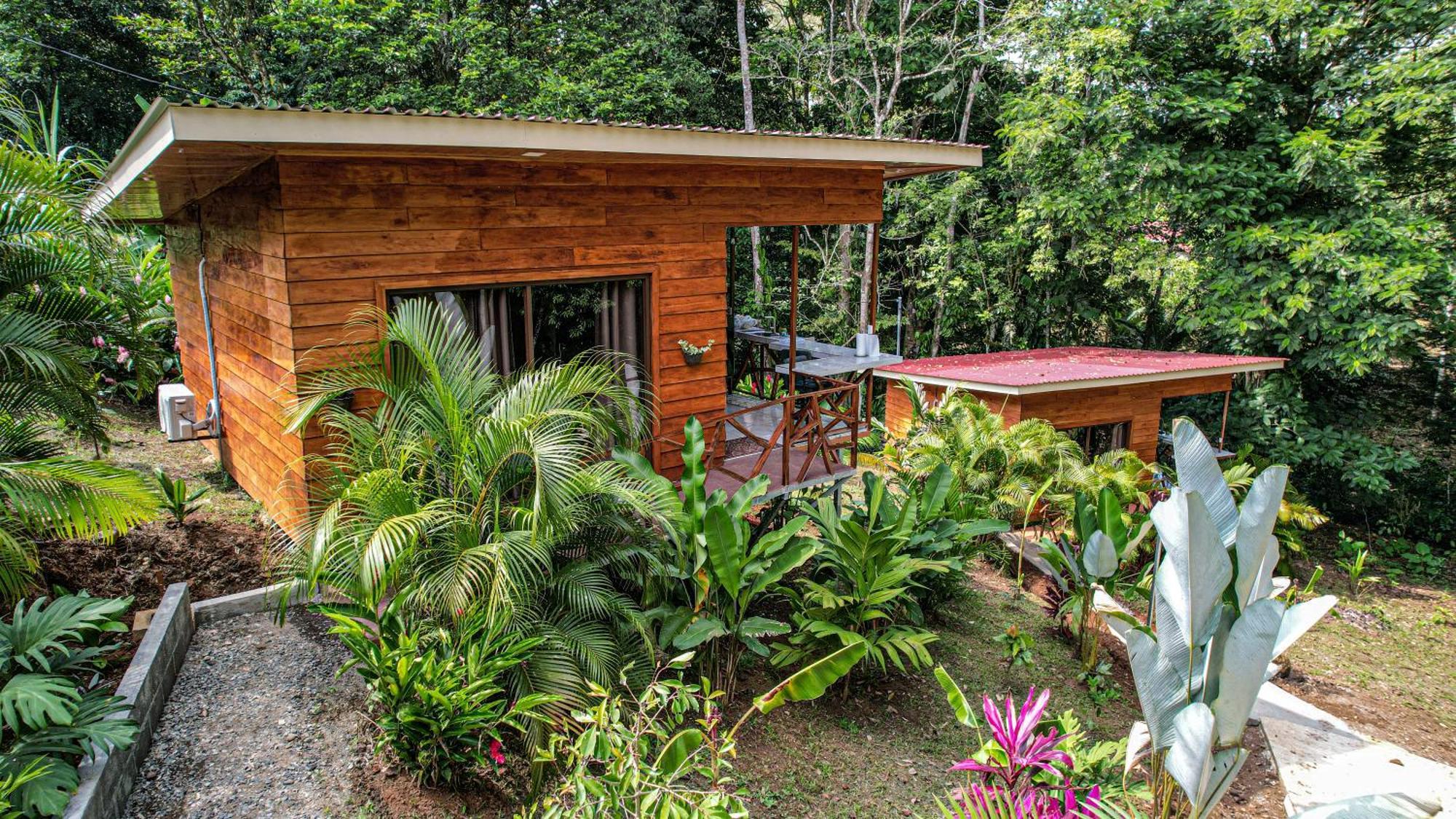 Bungalows Las Iguanas Arenal Volcano La Fortuna Extérieur photo