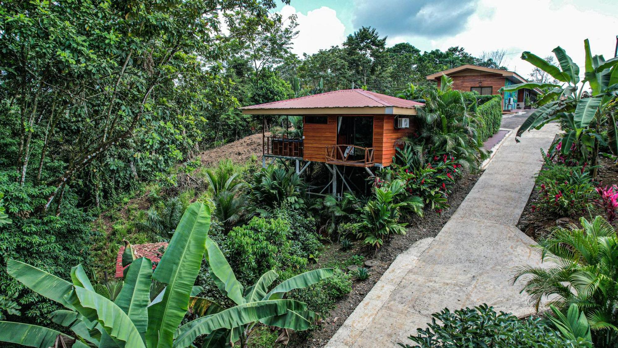 Bungalows Las Iguanas Arenal Volcano La Fortuna Extérieur photo