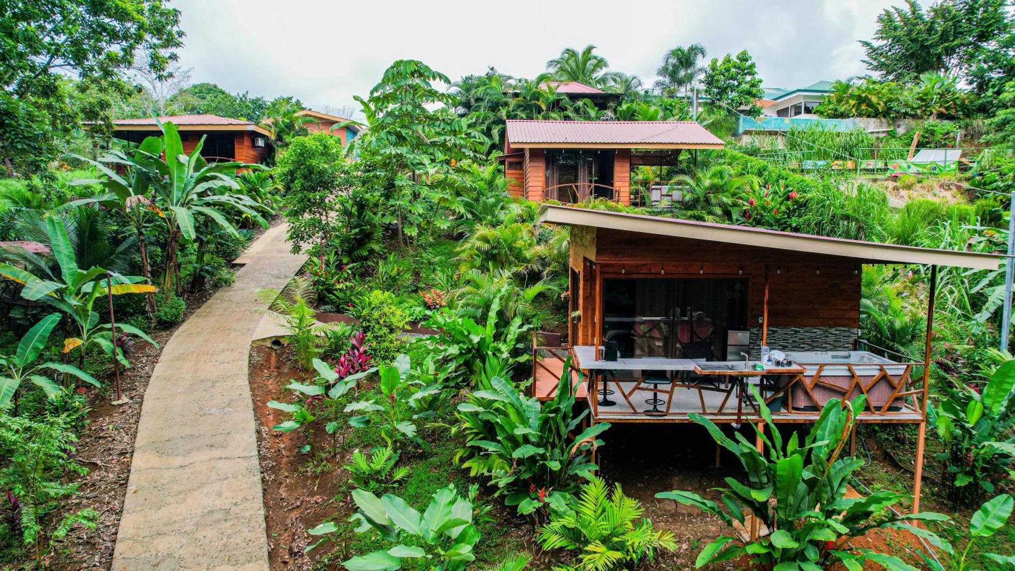 Bungalows Las Iguanas Arenal Volcano La Fortuna Extérieur photo